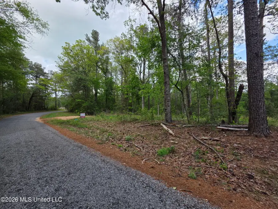 1967 Smith Cr 53 Drive, Mount Olive, MS 39119 - #2