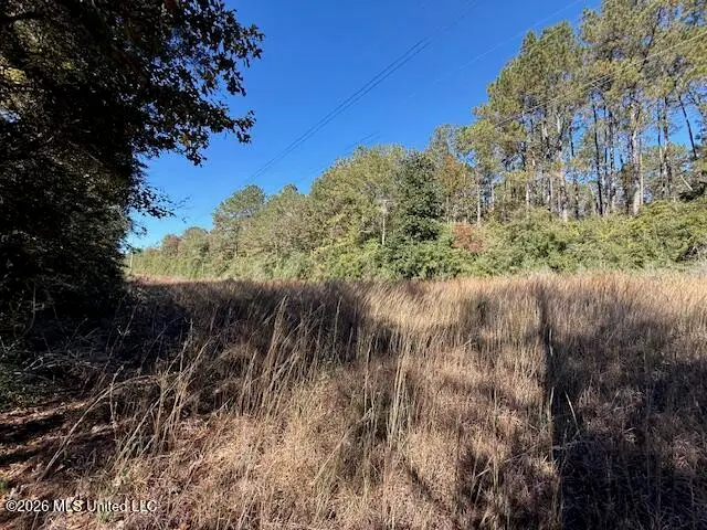 Hammond Sylvest Road, Franklinton, LA 70438 - #3