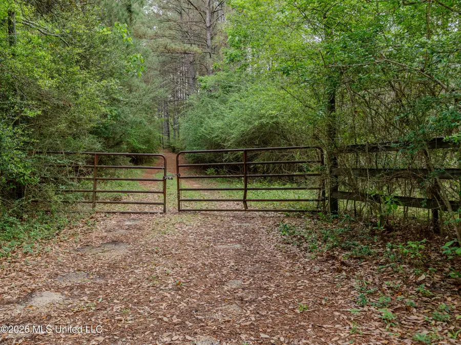 501 Stanford Lake Road, Poplarville, MS 39470 - #2