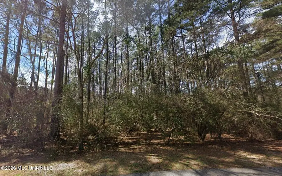 101 Bellepointe Circle, Purvis, MS 39475 - #2