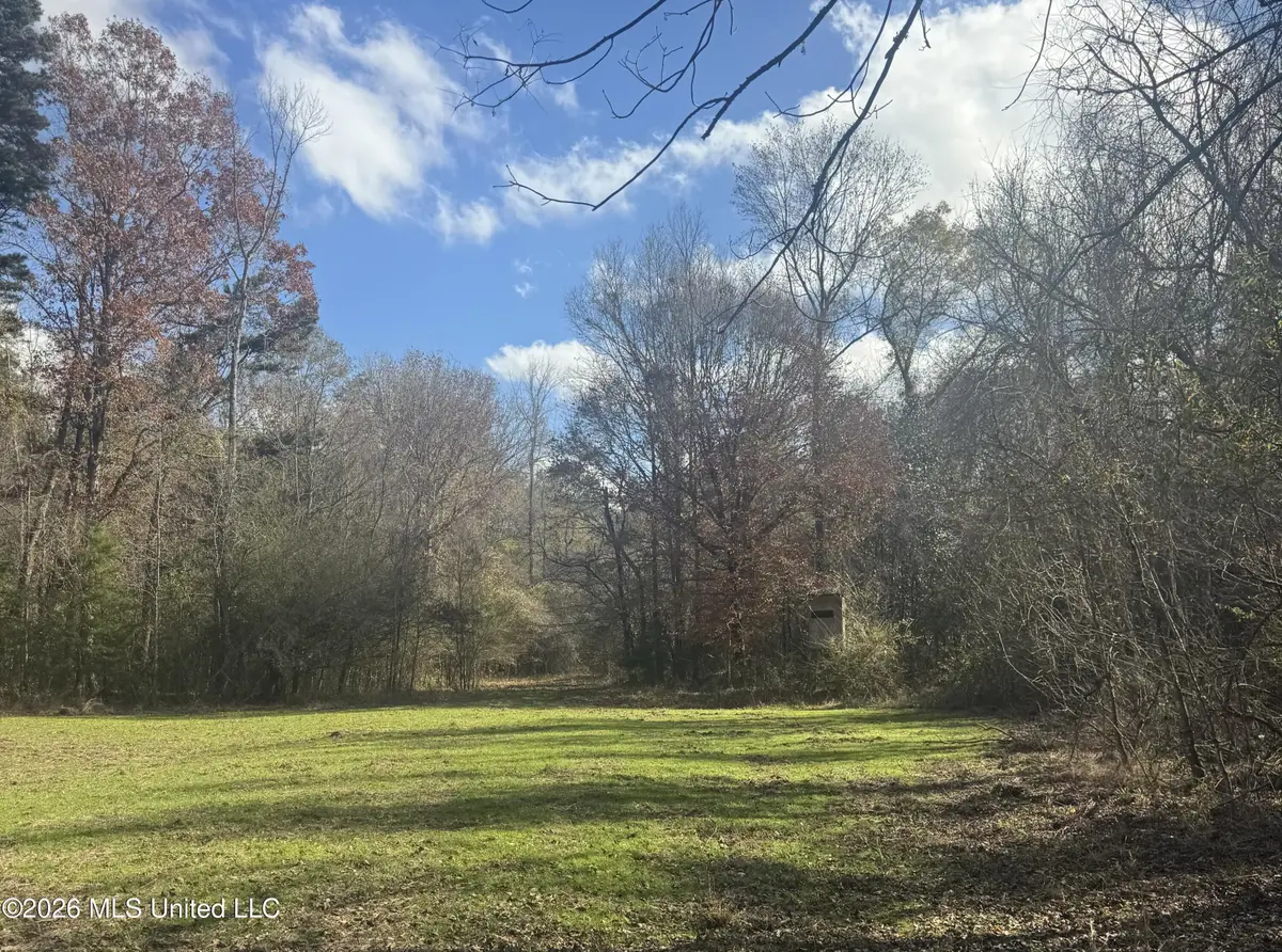 Mckenzie Road, Tylertown, MS 39667 - #1