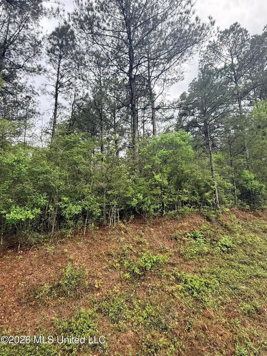 00 Rainey Road, Moselle, MS 39459 - #3