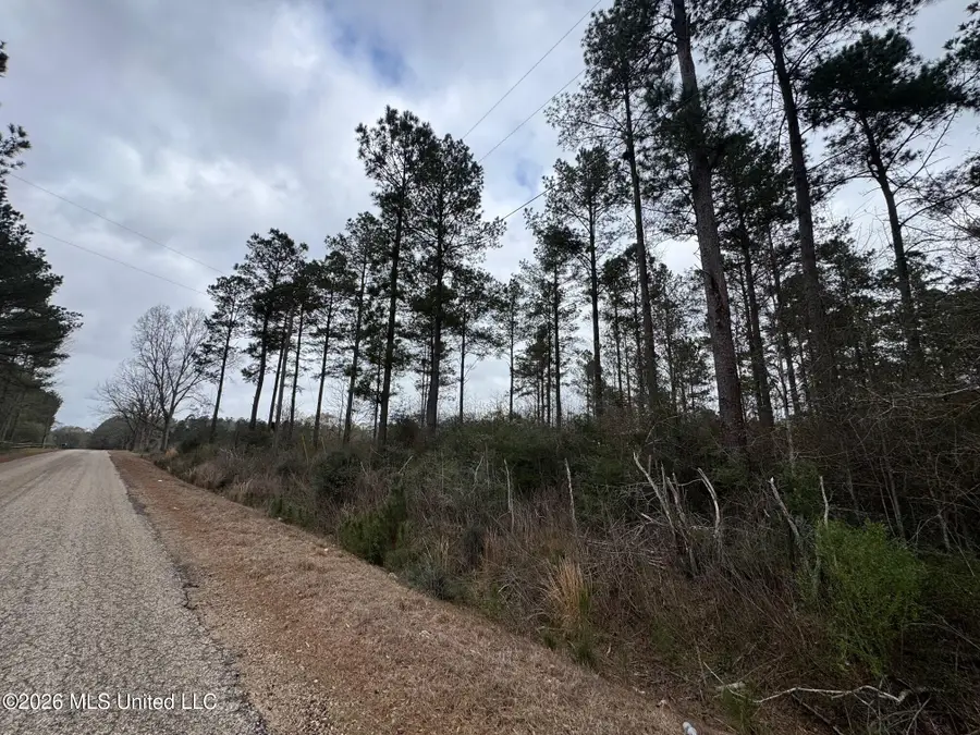 Lot 5 Dinan Salem Road, Tylertown, MS 39667 - #2