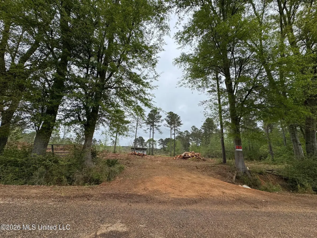 Lot 6 Dinan Salem Road, Tylertown, MS 39667 - #1