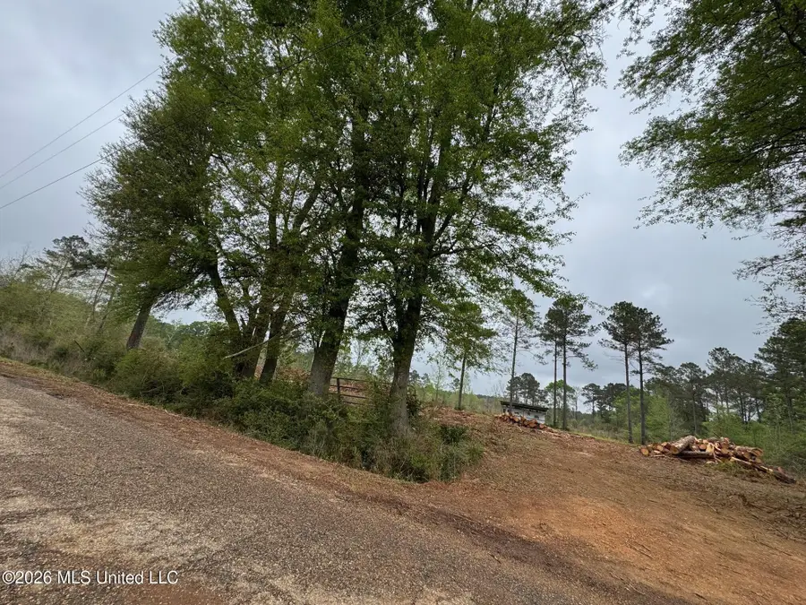 Lot 6 Dinan Salem Road, Tylertown, MS 39667 - #3