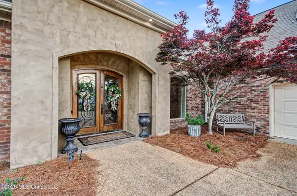 134 Pinnacle Circle, Brandon, MS 39047