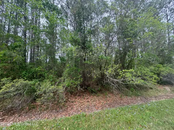 Nsn 8&9 Monroe Street, Waveland, MS 39576