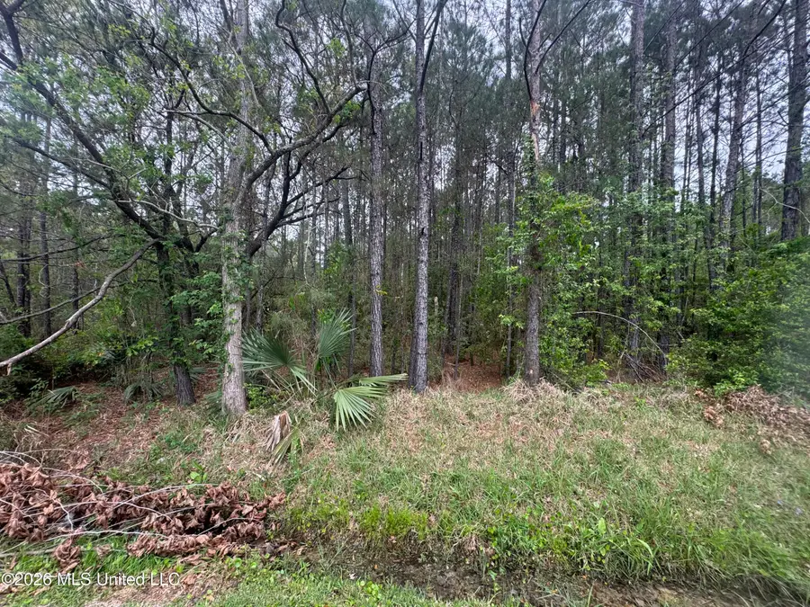 Nsn 6&7 Monroe Street, Waveland, MS 39576 - #2