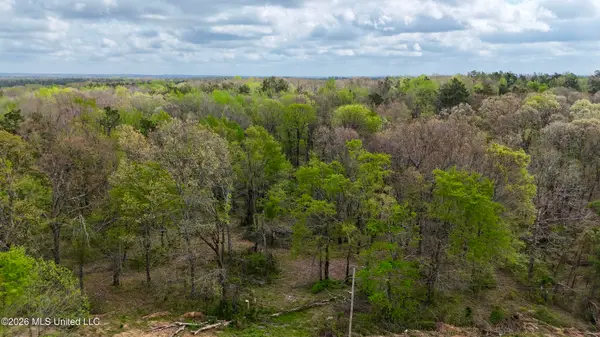 Mississippi 7, Holly Springs, MS 38635