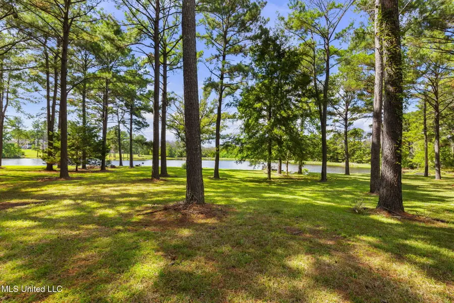 131 Lakeshire Parkway, Canton, MS 39046 - #3