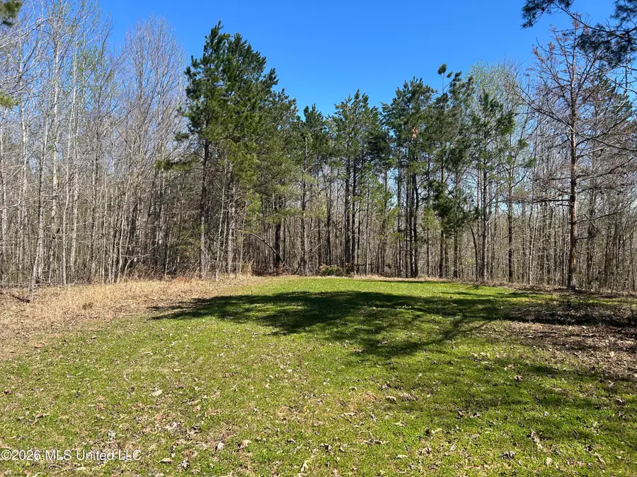 County Road 180, New Albany, MS 38652 - #2