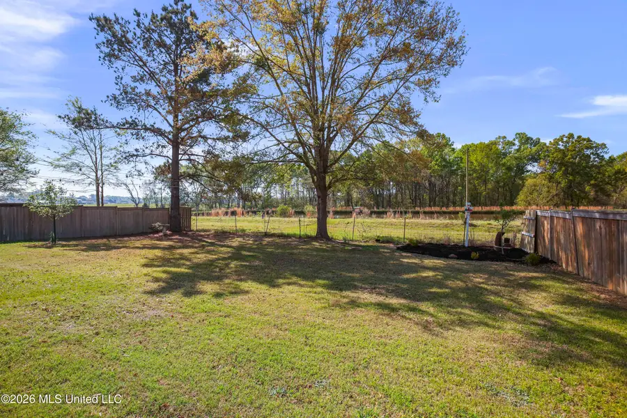 175 Shore View Drive, Madison, MS 39110 - #3