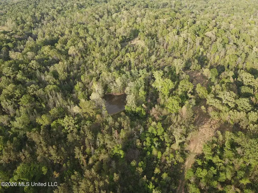 0 Newman Road, Edwards, MS 39066 - #2