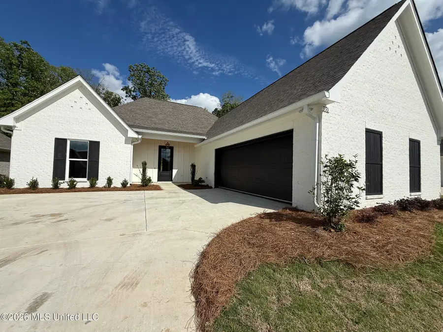 350 Oakville Circle, Brandon, MS 39047 - #2