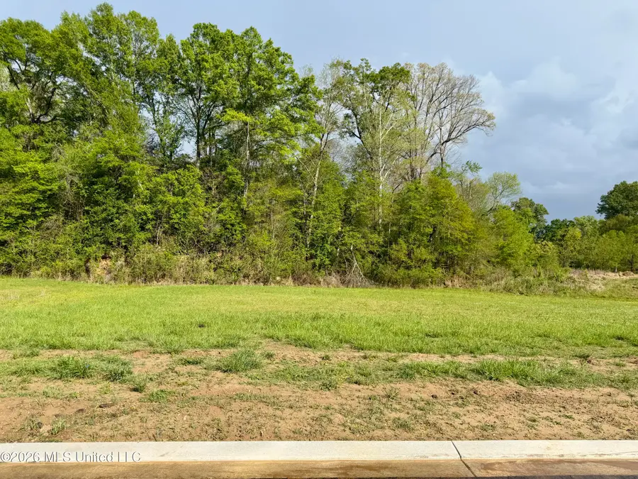00 Plainview Dr Lot 4, Vicksburg, MS 39180 - #3