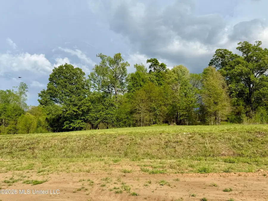 00 Plainview Dr Lot 8, Vicksburg, MS 39180 - #2