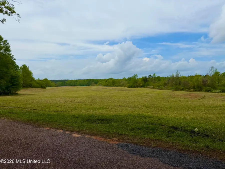 3404 SW Jordan Drive, Smithdale, MS 39664 - #3
