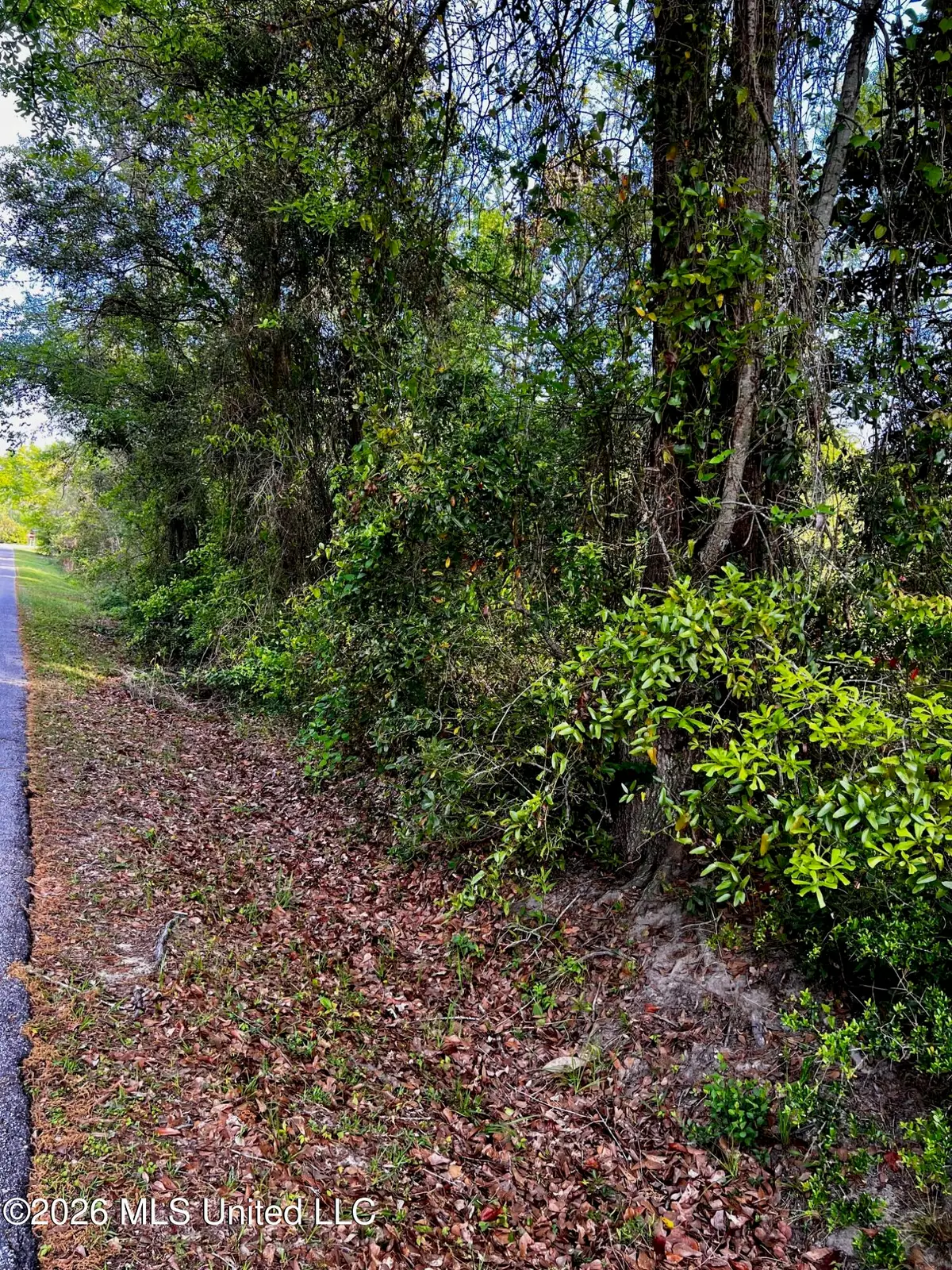 Pine Ridge Drive, Waveland, MS 39576 - #1