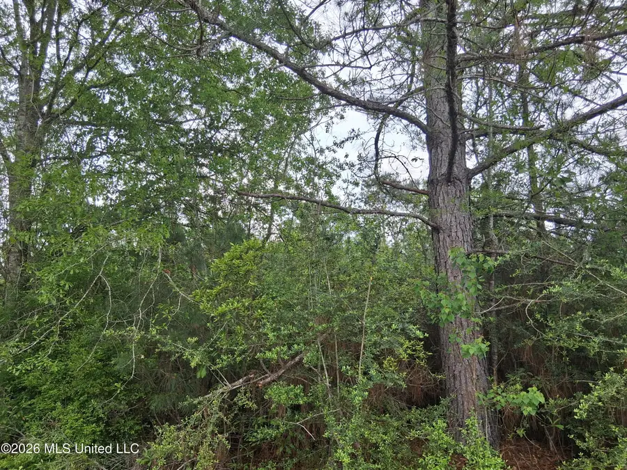 0 Ab Ladner Drive, Lumberton, MS 39455 - #2