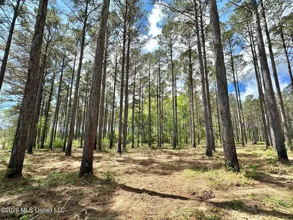 2 Morgan Road, Canton, MS 39046