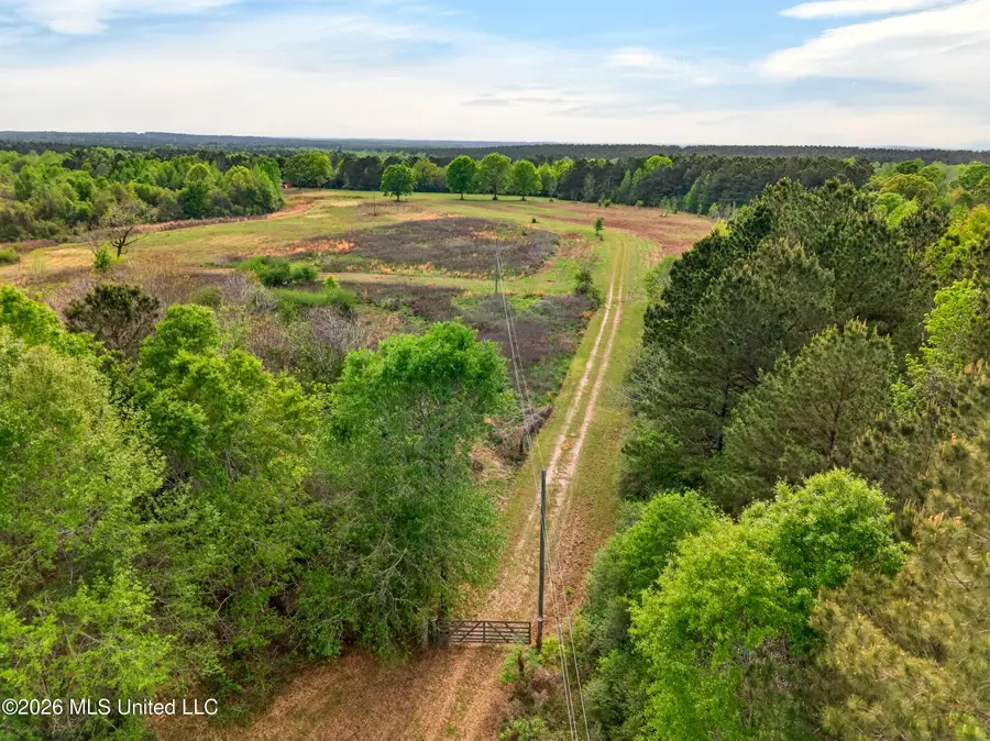86 Cripple Creek Lane, Lumberton, MS 39455 - #3