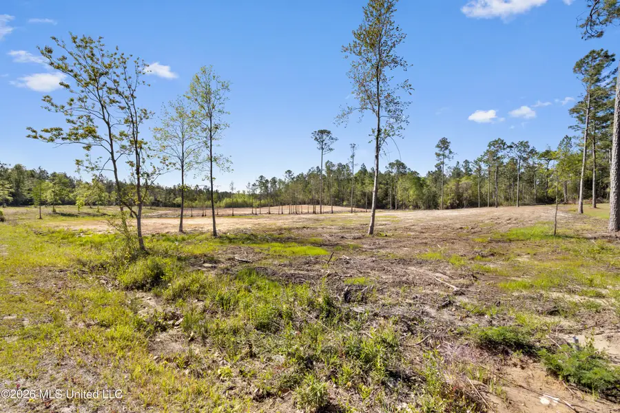 Lot 17 Morningside Drive, Vancleave, MS 39565 - #3