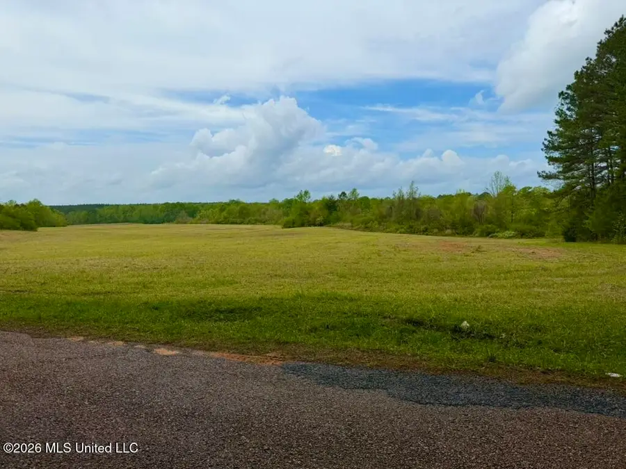 4303 SW Jordan Drive, Smithdale, MS 39664 - #2