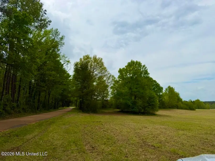 4303 SW Jordan Drive, Smithdale, MS 39664 - #3