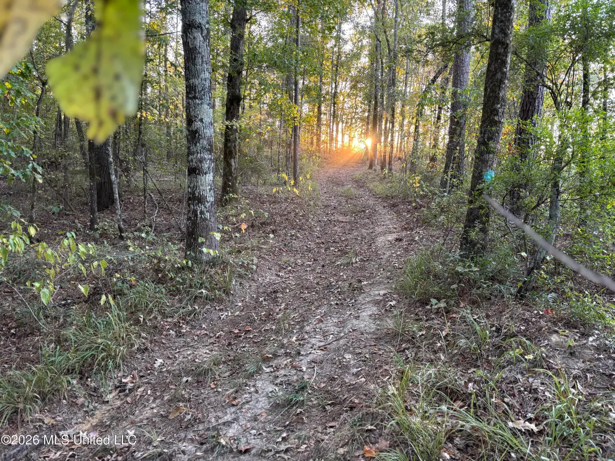 001 Simpson Road, Pickens, MS 39146 - #1