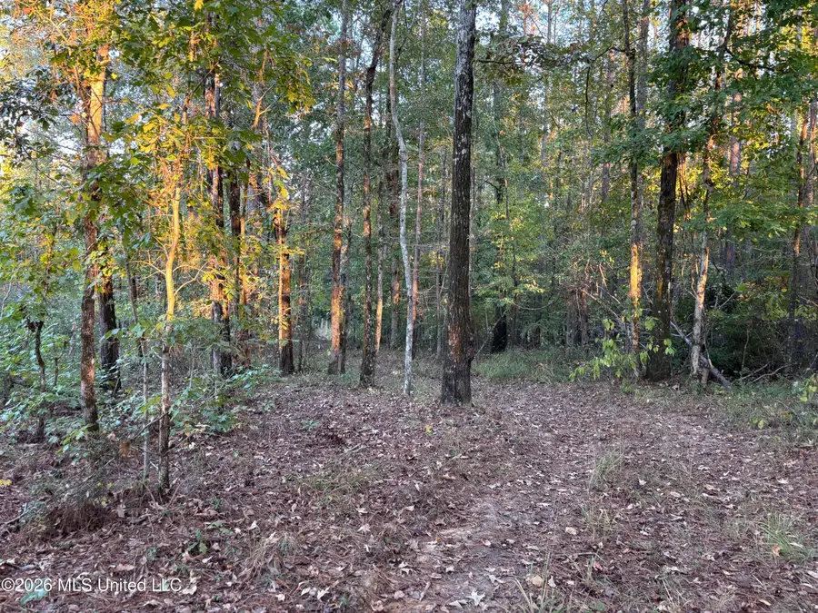 001 Simpson Road, Pickens, MS 39146 - #3