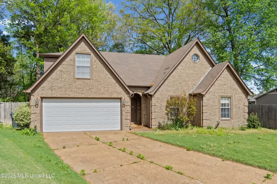 250 Vaiden Ridge Cove, Hernando, MS 38632 - #3