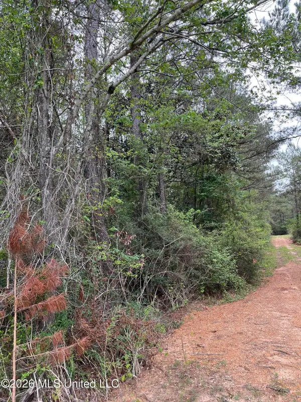 Hwy 49 Highway, Brooklyn, MS 39425