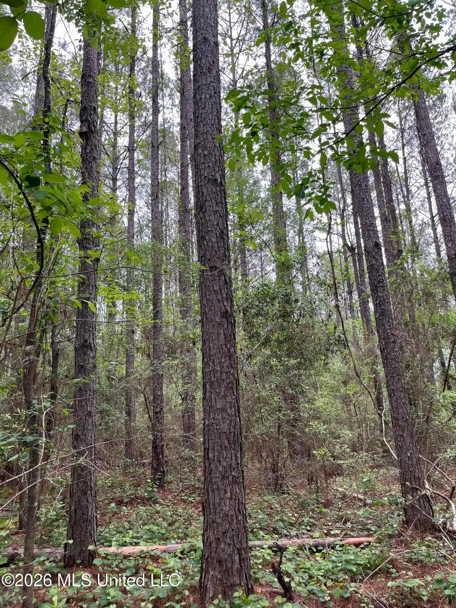 U.s. 49, Brooklyn, MS 39425 - #2