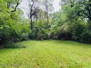 3125 Jayne Avenue, Jackson, MS 39209 - #2