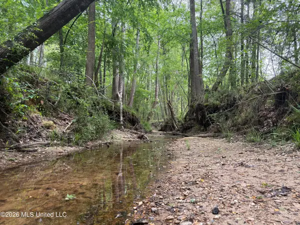 NE Forest Trail, Brookhaven, MS 39601