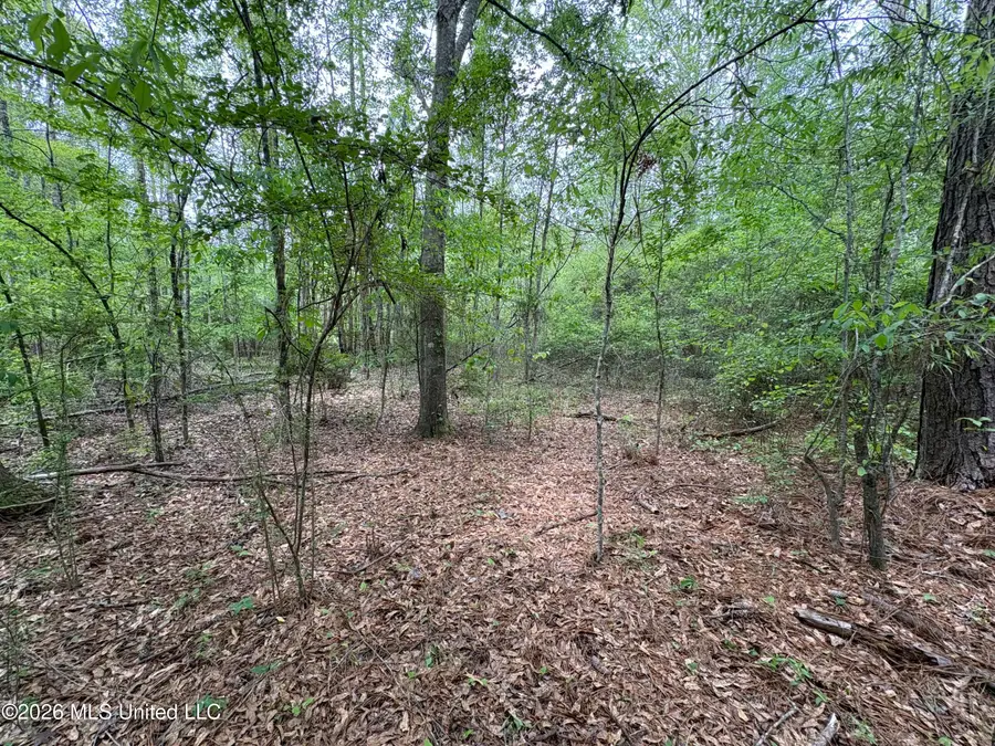 NE Forest Trail, Brookhaven, MS 39601 - #3