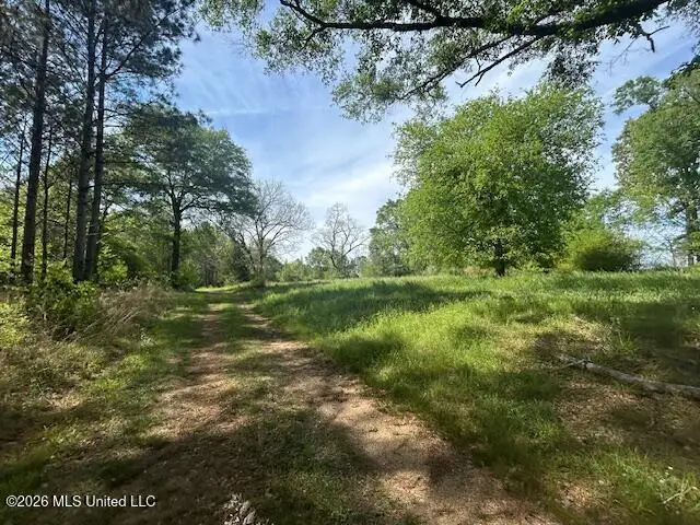 Mount Zion Lane, Sontag, MS 39665 - #3