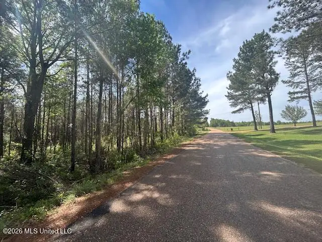 W Smith Ferry Road, Sontag, MS 39665 - #1