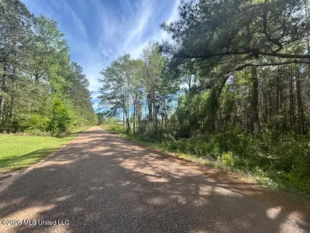 W Smith Ferry Road, Sontag, MS 39665 - #2