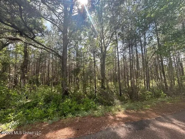 W Smith Ferry Road, Sontag, MS 39665 - #3