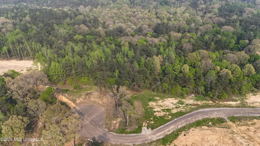 10 Tyro Branch Cove, Senatobia, MS 38668 - #2
