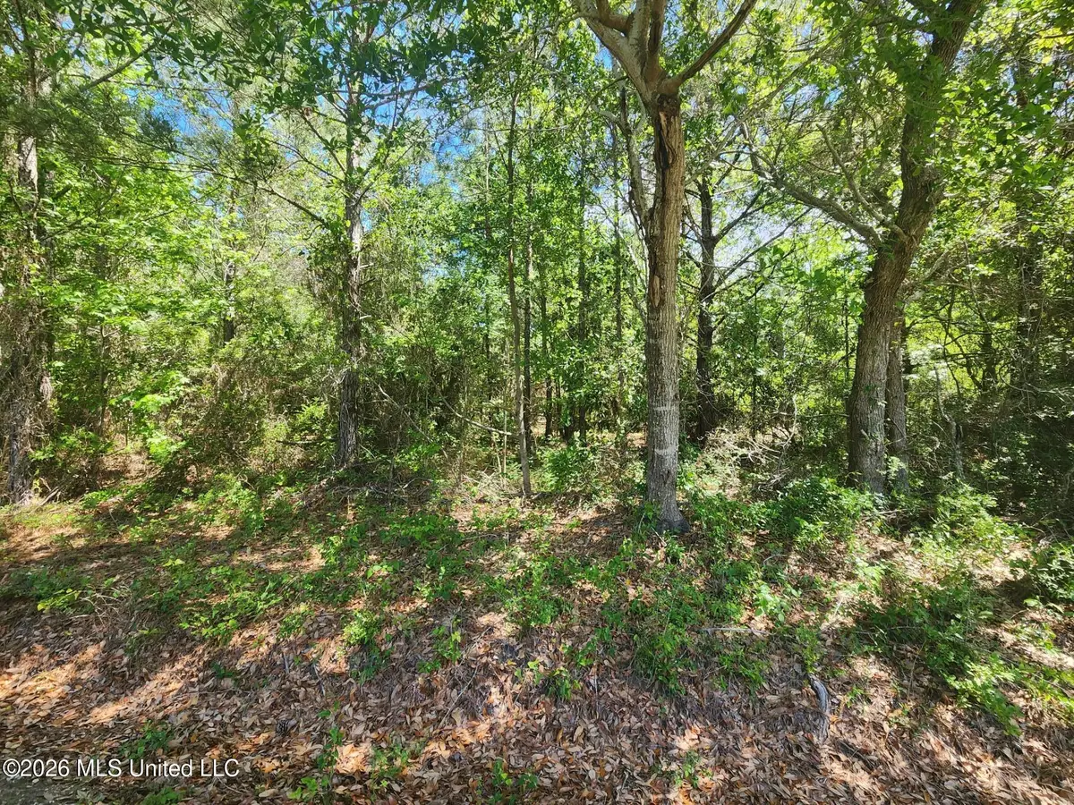 0 Lady Mary Ave Avenue, Pass Christian, MS 39571 - #1