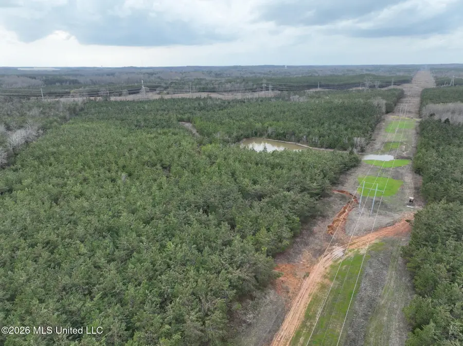 1177 County Road 194, Blue Springs, MS 38828 - #2