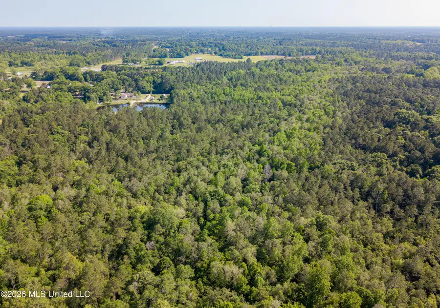 74 +/- Ac Cowart Road, Lucedale, MS 39452 - #2