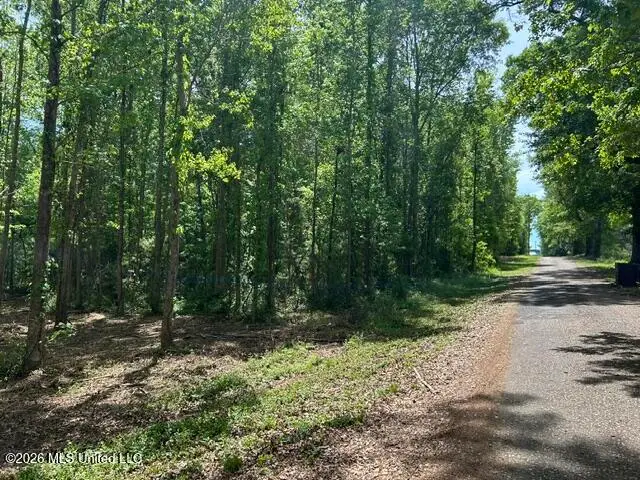 Parcel 3 Stovall Lane, Summit, MS 39666 - #1