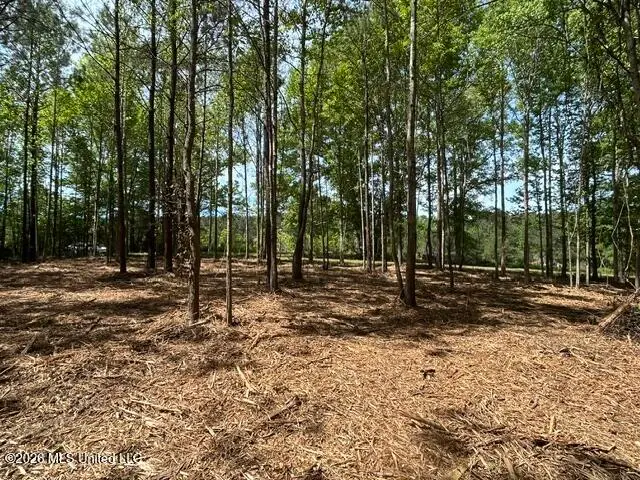 Parcel 3 Stovall Lane, Summit, MS 39666 - #3