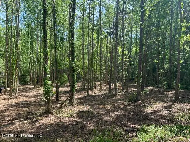 Parcel 4 Stovall Lane, Summit, MS 39666 - #2