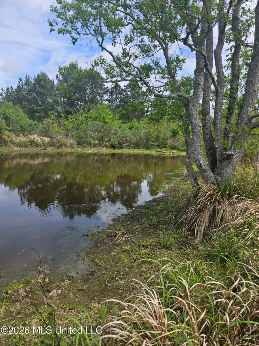 6201 Wesley Powell Road, Lucedale, MS 39452 - #2