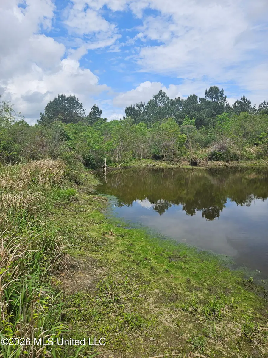 6201 Wesley Powell Road, Lucedale, MS 39452 - #3