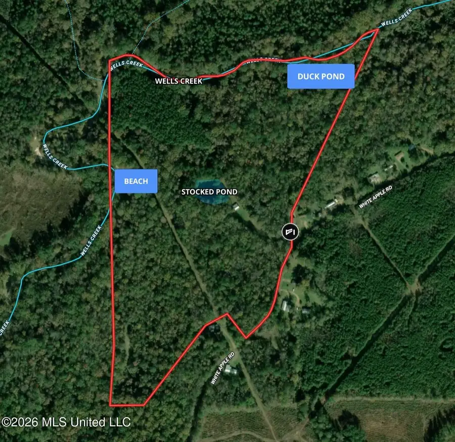 5582 White Apple Road, Roxie, MS 39661 - #2